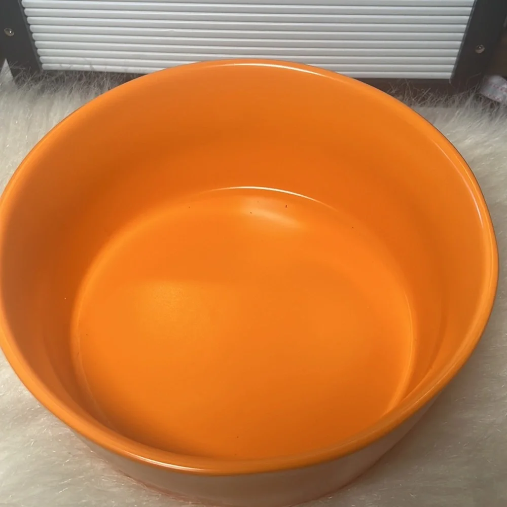 RAE DUNN WICKED CUTE DOG BOWL